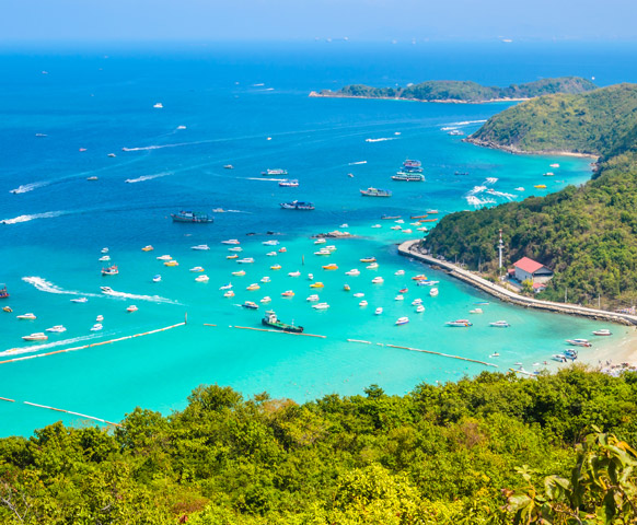 網路限定》芭達雅自由配