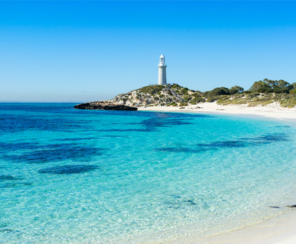 網路限定》柏斯自由配