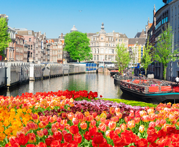 網路限定》阿姆斯特丹自由配