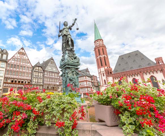 網路限定》法蘭克福自由配