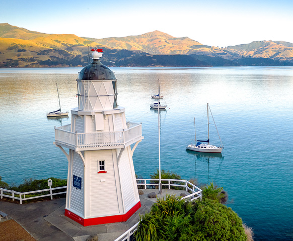 網路限定》基督城自由配