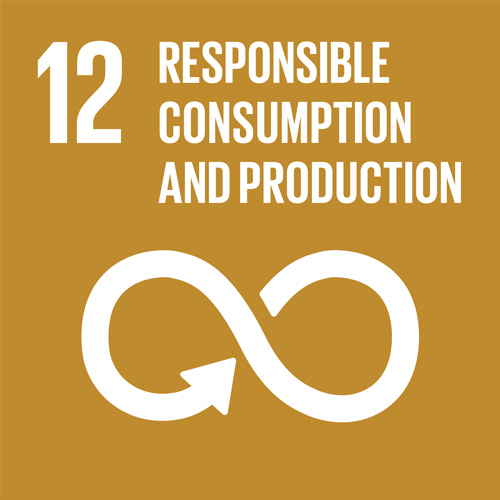 RESPONSIBLE CONSUMPTION AND PRODUCTION Governance