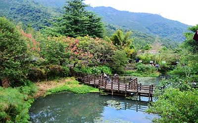單車旅遊