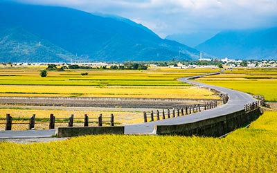 單車旅遊