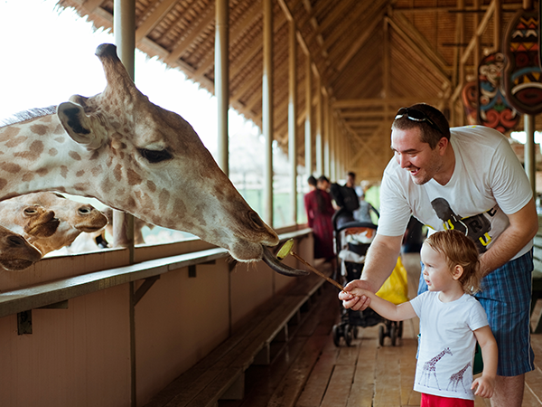 野生動物園Safari World