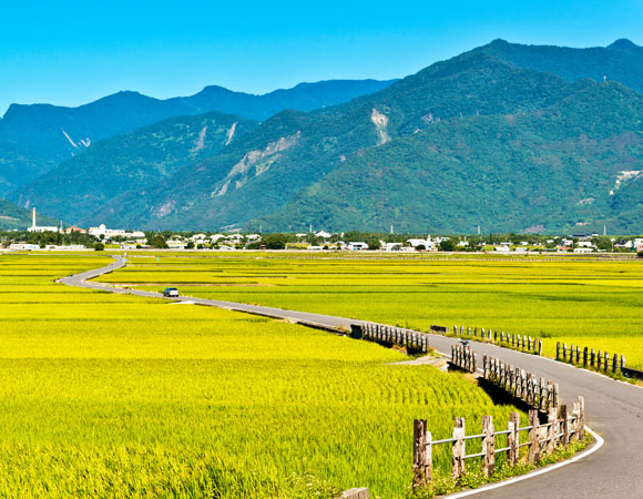 畢業旅行