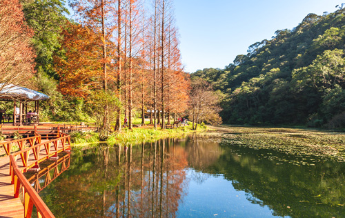 福山植物園1日