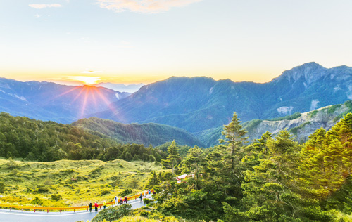 清境青青草原.合歡山2日
