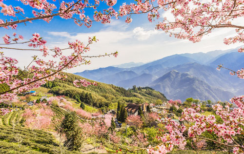 自選旅宿自由行2日