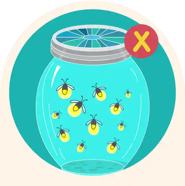 不要捕捉螢火蟲