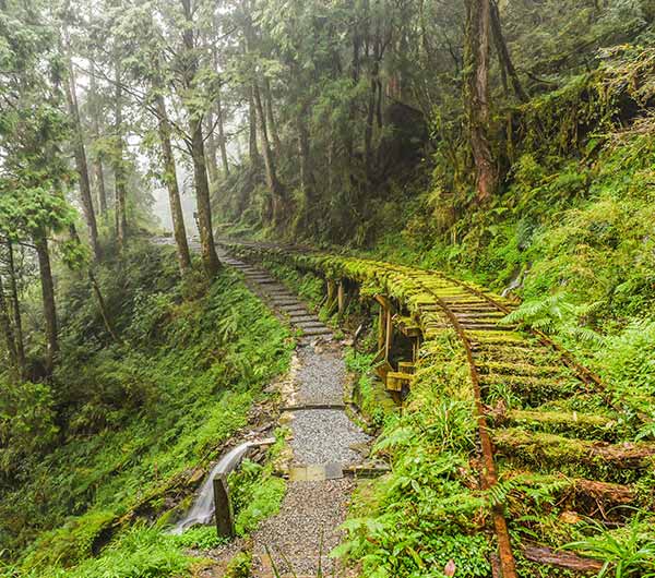 火車旅遊》宜蘭太平山.翠峰湖.鳩之澤2日