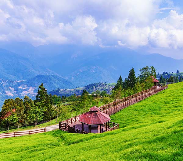 高鐵旅遊》南投清境青青草原.合歡山2日