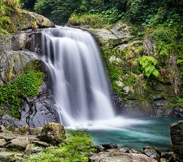 內洞國家森林遊樂區入園門票