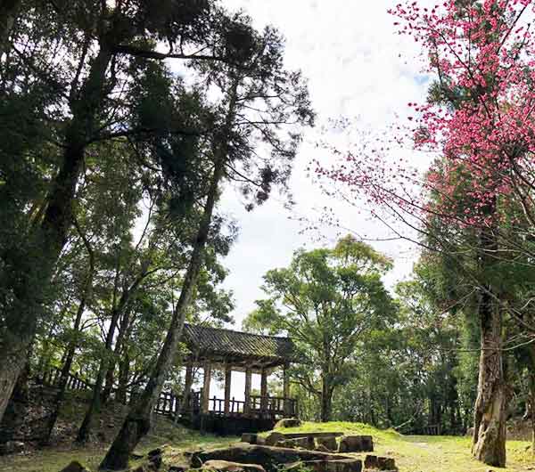 東眼山國家森林遊樂區入園門票