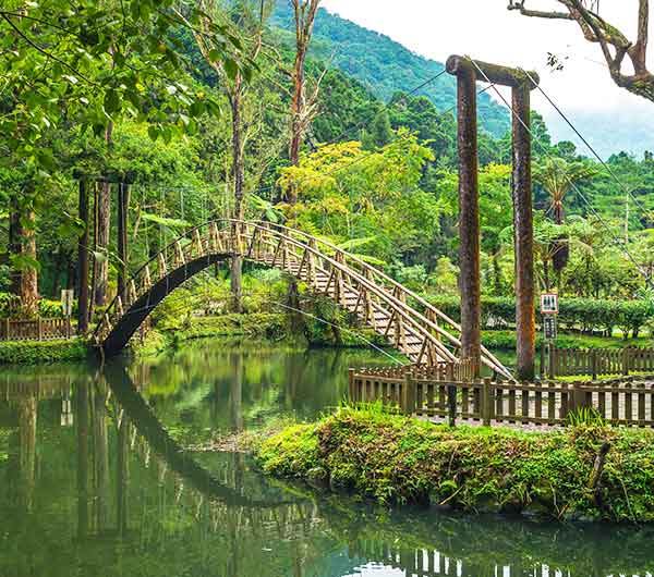 溪頭自然教育園區入園門票