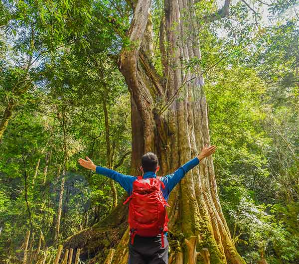 司馬庫斯》賓士六人成行.雲端景觀餐廳.新光鎮西堡.神木輕旅行2日