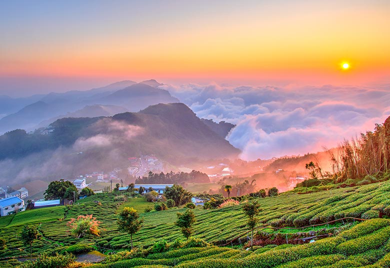 高鐵旅遊》輕奢旅行.嘉義阿里山英迪格.奮起湖2日