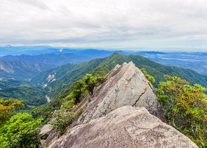 大雪山森林遊樂區