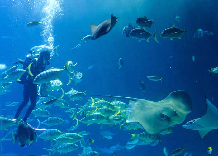 國立海洋生物博物館