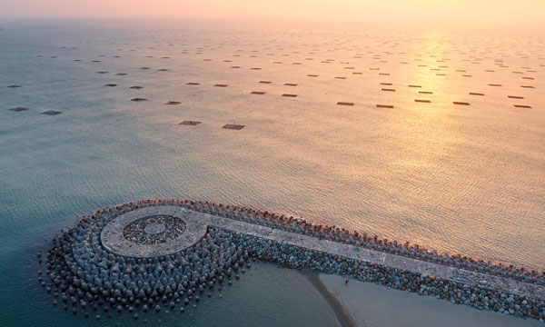 【搭高鐵.送租車】台南格上租車自駕遊2日