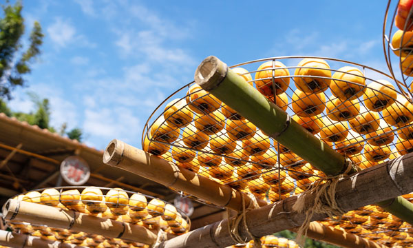 【搭高鐵.送租車】新竹和運租車自駕遊1日