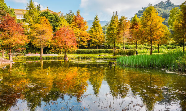 【搭高鐵.送租車】台中格上租車自駕遊1日