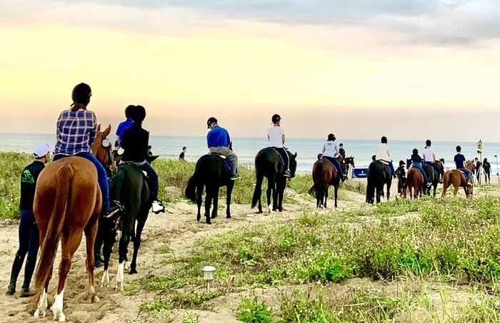 綠野馬術文創園區