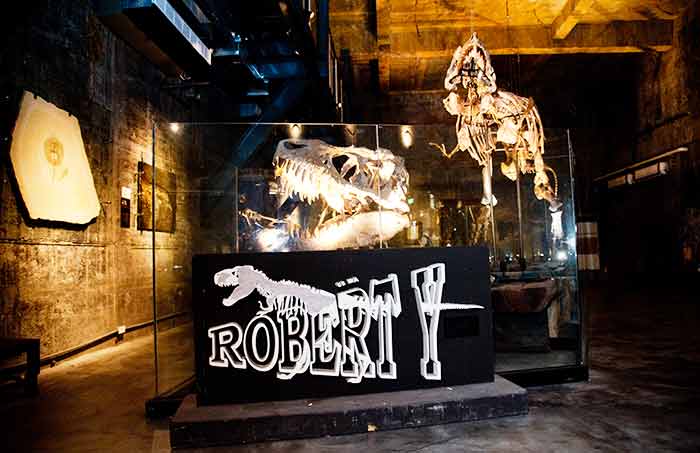 RobertY瘋狂夢想藝術園區 
