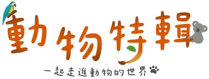 動物特輯 一起走進動物的世界