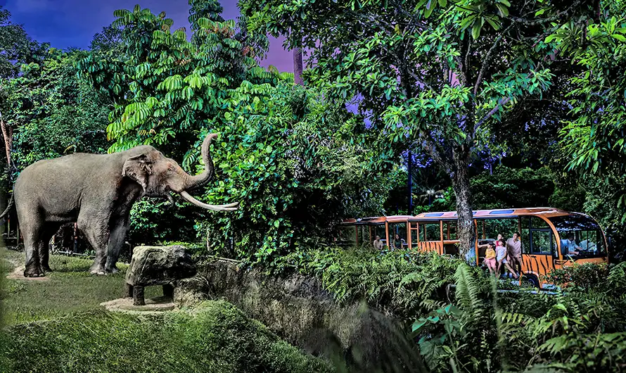 新馬樂翻天》環球影城.樂高樂園.夜間動物園.夜訪星空螢河5日