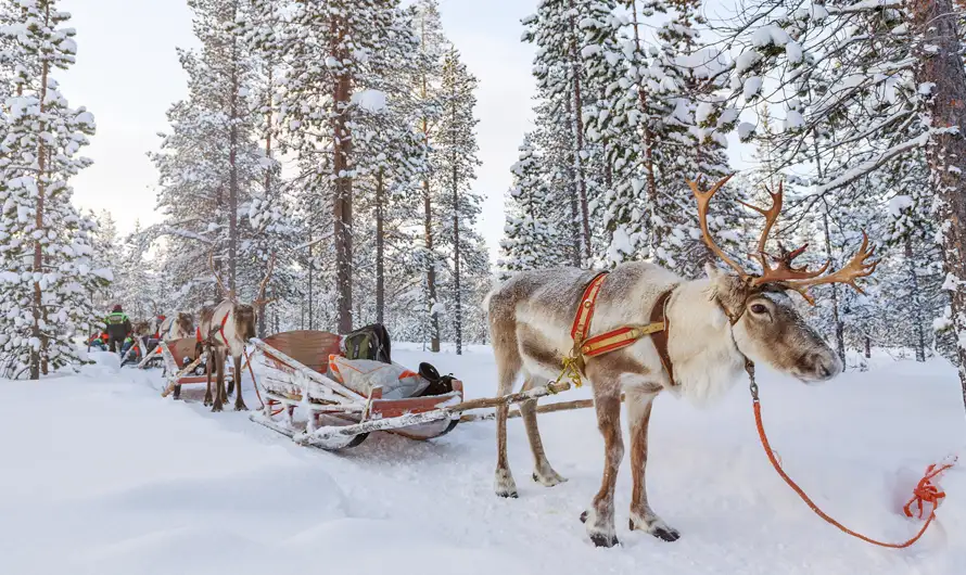 芬蘭幸福極光》玻璃極光屋.帝王蟹雪橇車.聖誕老人村.冰雪歷險體驗10日