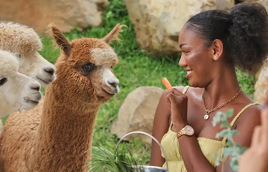 食尚峇里.六人成行》布拉坦水神廟.來去羊駝的家.天空屋下午茶.獨棟泳池別墅5日