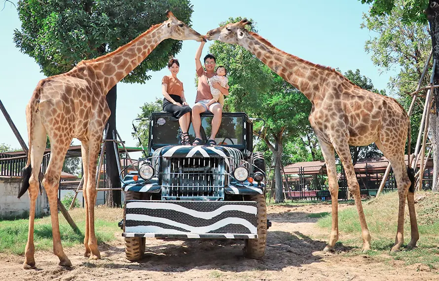 曼谷泰好玩》大城動物園.皇宮暹羅城.歐式水上市場.水中屋咖啡廳5日