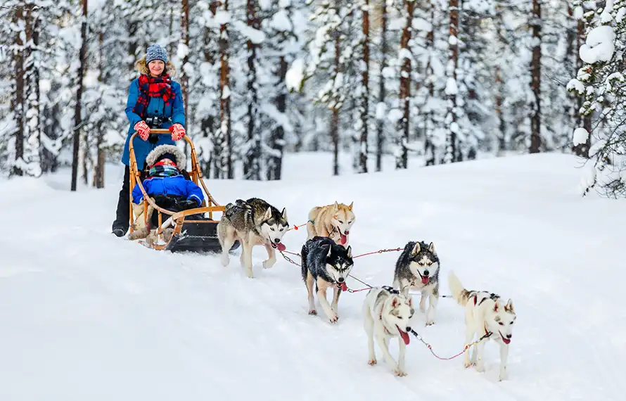 芬蘭幸福極光》兩晚玻璃極光屋.帝王蟹破冰船.星空夜臥火車.冰原歷險體驗11日
