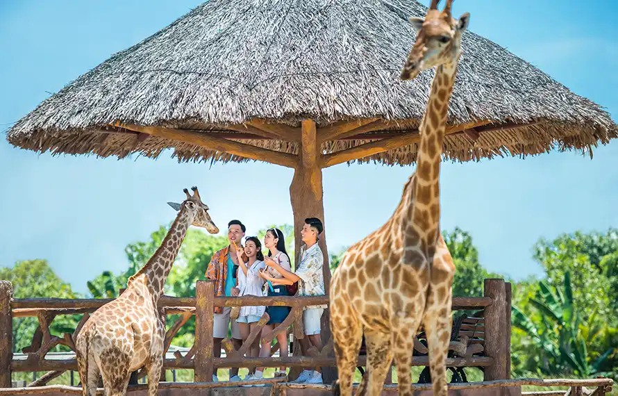 星饗中越雙城》纜車佛手橋.珍珠奇幻樂園.會安印象夜秀.全程五星飯店5日