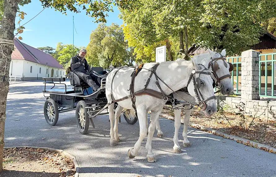 克斯Glamping.早鳥最高省6000》兩大國家公園.松露採集體驗.皇家馬術表演.二晚豪華露營11日