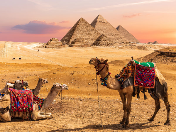 中東 中段搭機.阿布辛貝神殿.金字塔景觀餐廳.尼羅河河輪旅行.乙晚奢華四季飯店10日