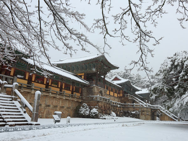 樂天世界.LUGE渠道滑車.世界文化遺產.海岸觀光列車5日