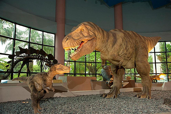 【國立自然科學博物館】雙人套票-本館展示場＋植物園