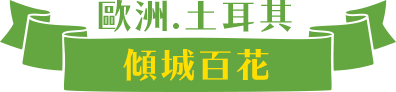 傾城百花