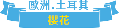 歐洲櫻花