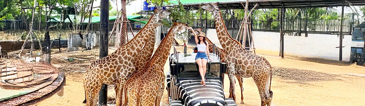 KHH曼芭限定GO～大城長頸鹿、全明星夜遊船、泰式雙享風情、曼谷五星飯店五日
