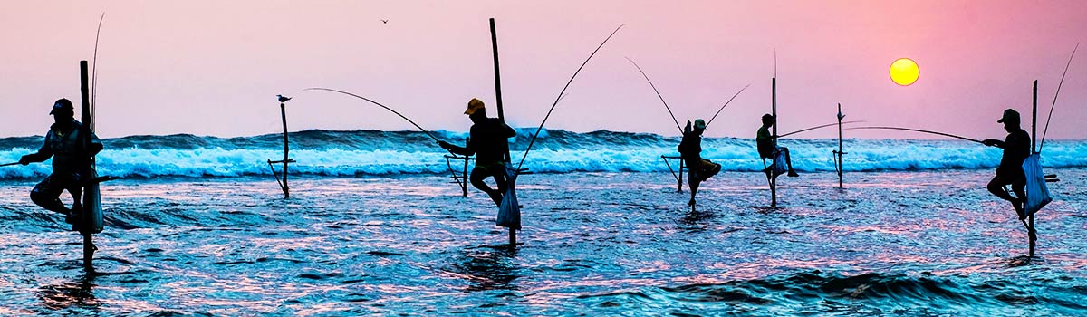 南洋之淚、斯里蘭卡～獅子岩丹布拉、雅拉國家公園、高山茶園火車、五星飯店九日