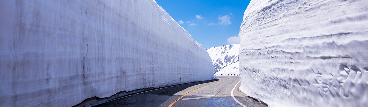 TXG雪壁傳奇～立山黑部、合掌村兼六園、伏見稻荷大社、名水郡上八幡五日