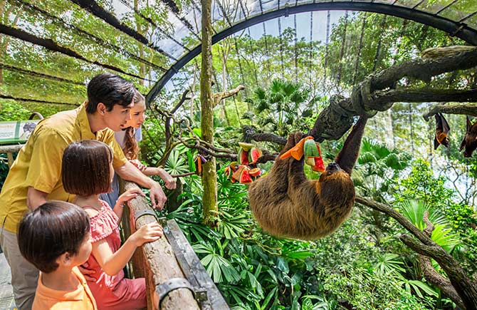 旅遊推薦◆萬態野生動物門票三選一◆即訂即購》新加坡3天2夜自由行