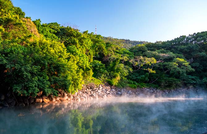【台灣好行｜北投竹子湖線】竹子湖花海超值票