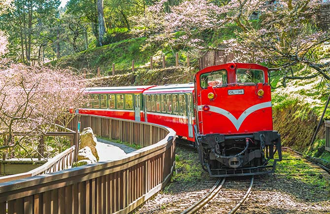高鐵旅遊.預購減600元》嘉義阿里山.祝山日出.森鐵小火車全線2日
