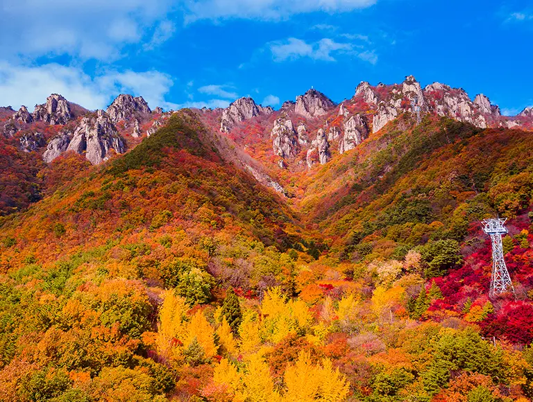 大芚山道立國家公園