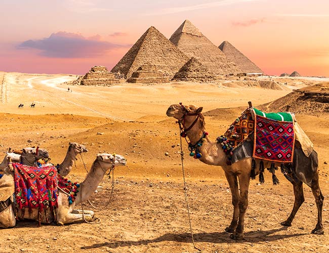 絕美埃及.中段搭機》阿布辛貝神殿.金字塔風帆船.法尤姆綠洲瀑布.尼羅河河輪旅行11日