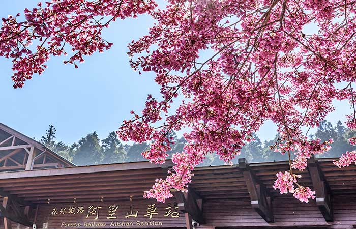 阿里山